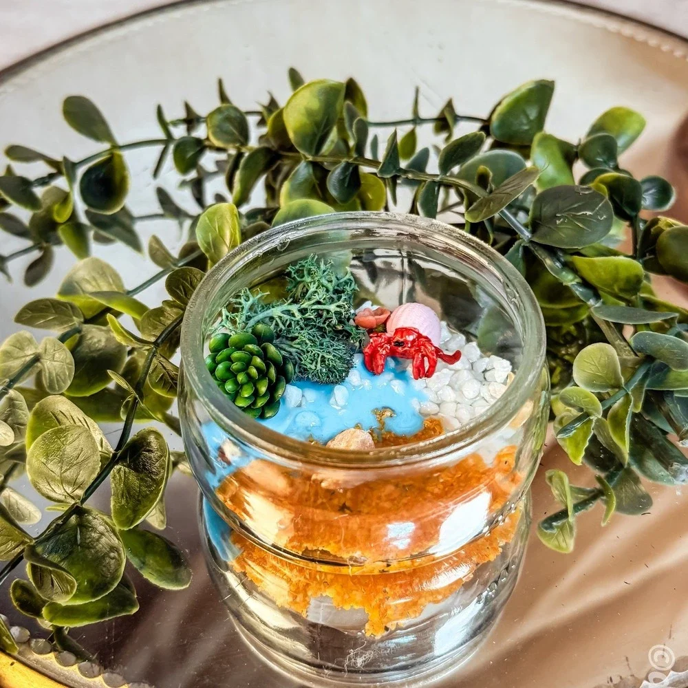 Mini Crab Terrarium